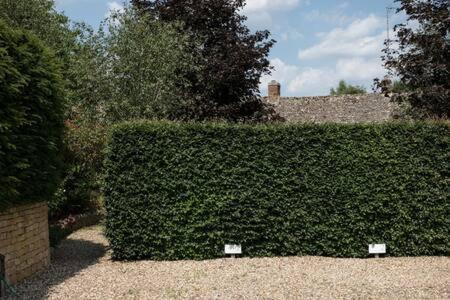 Two Rose Walk Cottage Cotswolds Moreton-in-Marsh Kültér fotó
