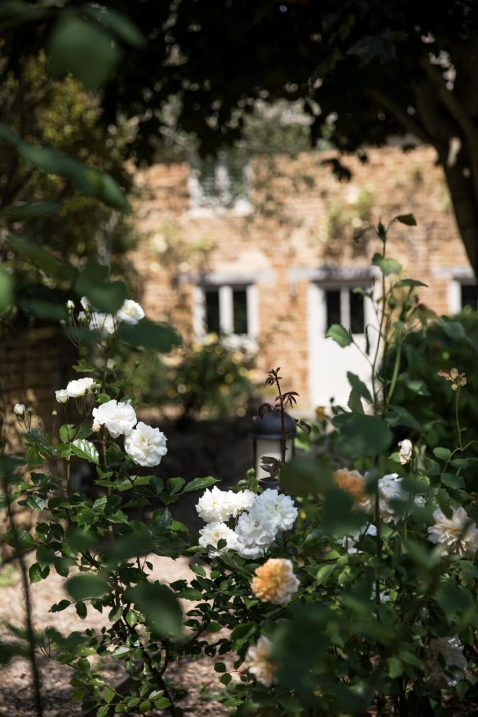 Two Rose Walk Cottage Cotswolds Moreton-in-Marsh Kültér fotó